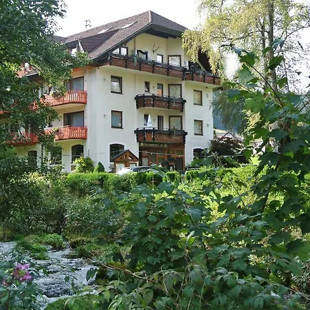 Enz Residenz Hotel Enzklösterle