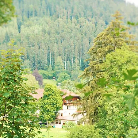 Enz Residenz Hotel