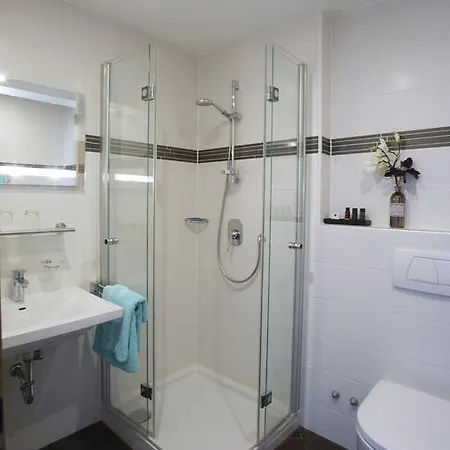 Enz Residenz Hotel 3*