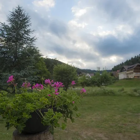 Hotel Enz Residenz