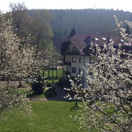 Enz Residenz Enzklösterle