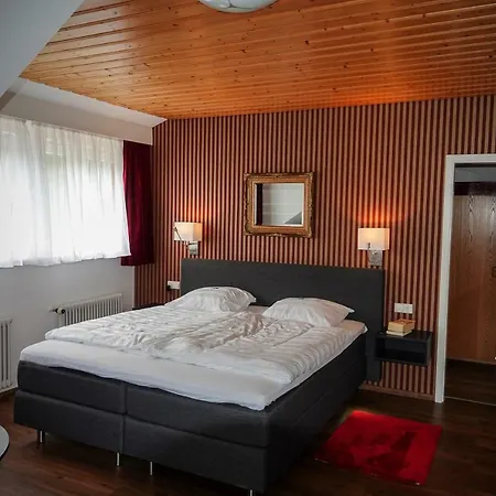 Enz Residenz Hotel 3*
