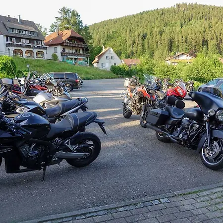 Enz Residenz 3* Enzklösterle